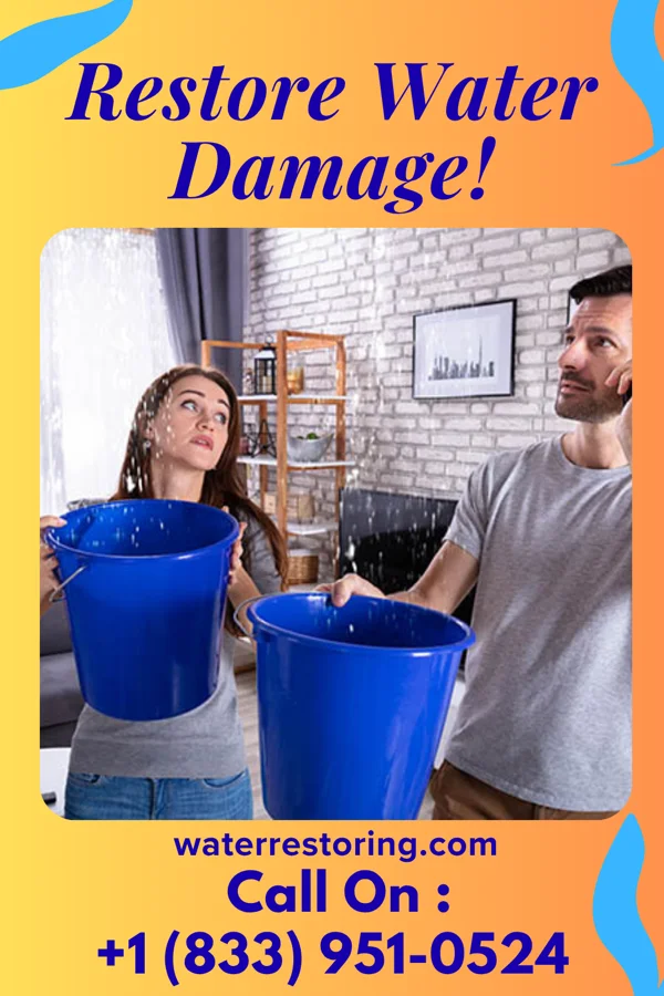 water restoration Pro Water Cleanup Network Morgan