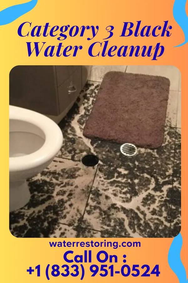 Category 3 Black Water Cleanup in Morgan, TX