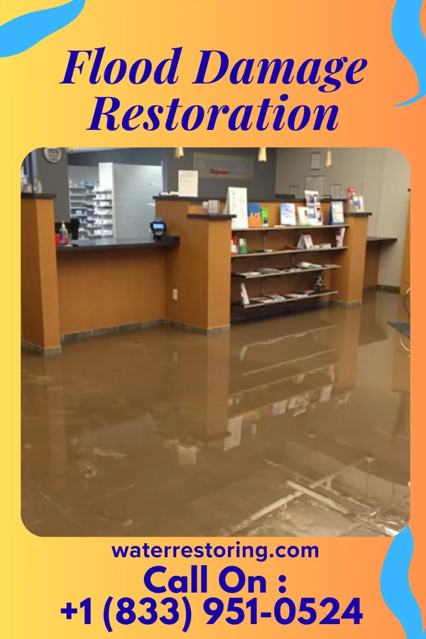 Flood Damage Restoration in Morgan, TX