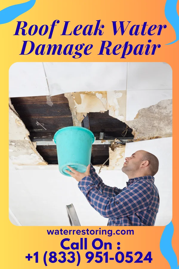 Roof Leak Water Damage Repair in Morgan, TX